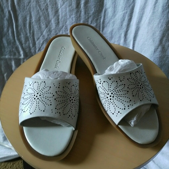 Slides - Picture 1 of 6